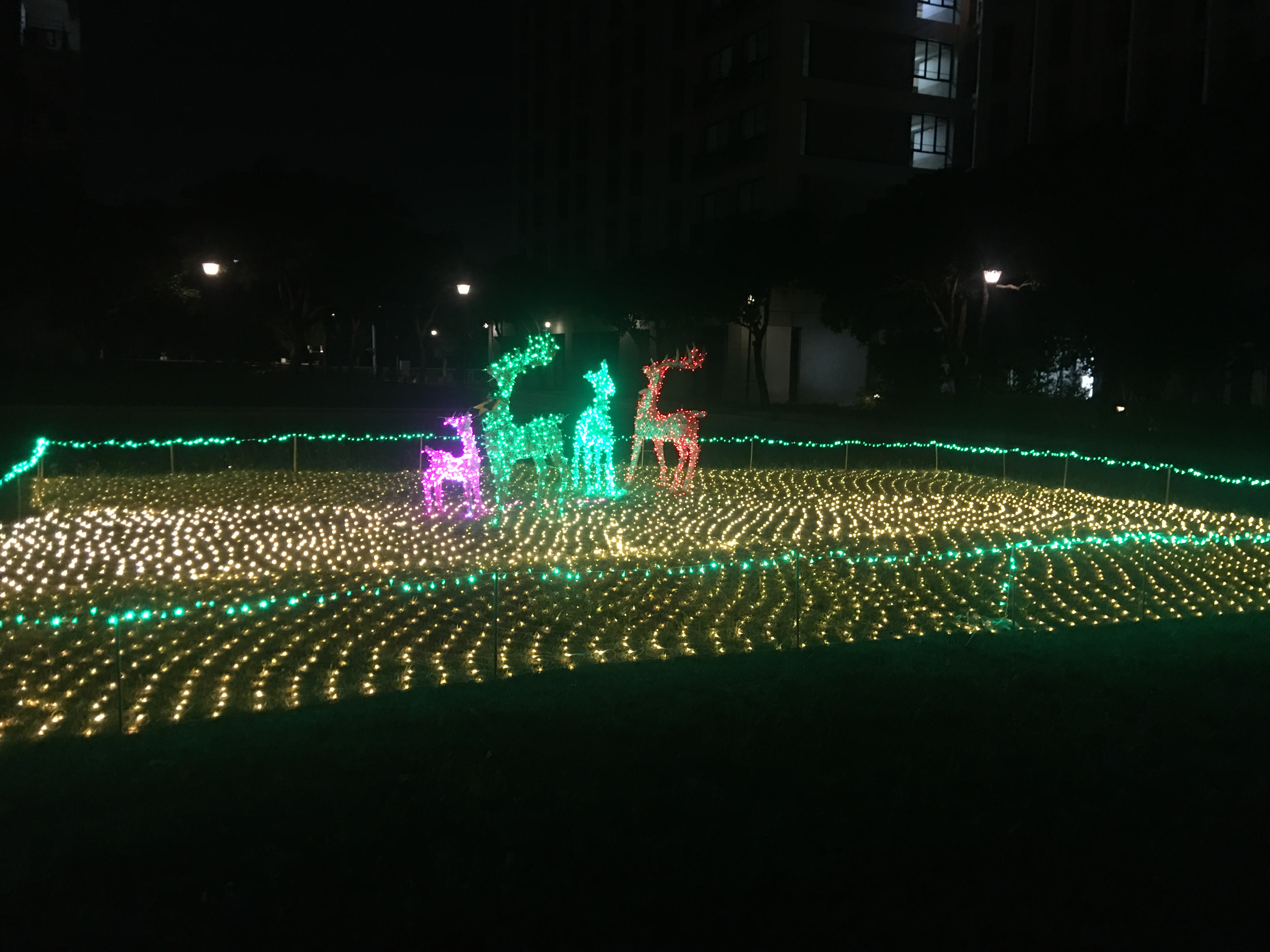台南裝置藝術作品2