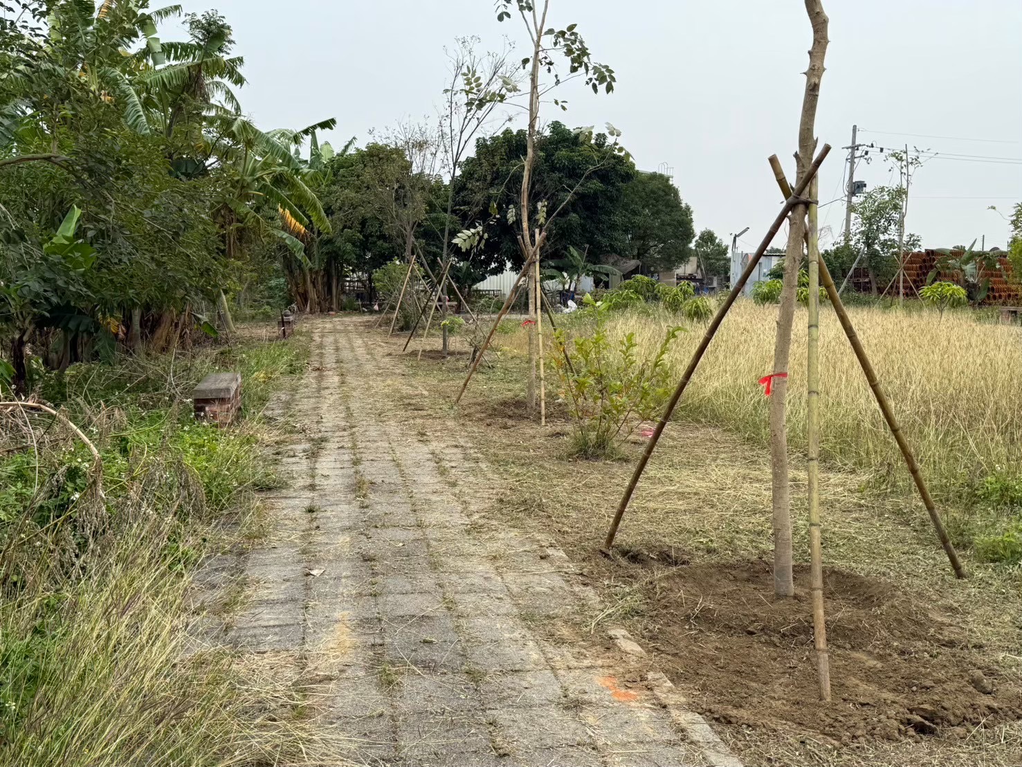 台南植栽養護工程案例