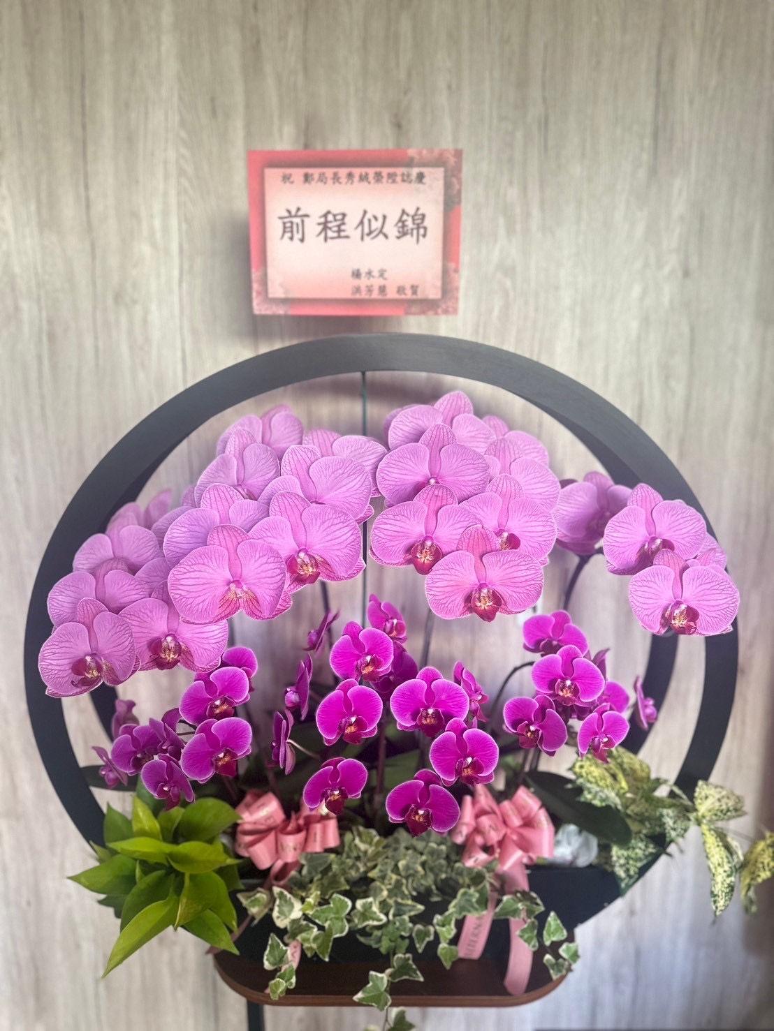 台南花店蘭花盆栽