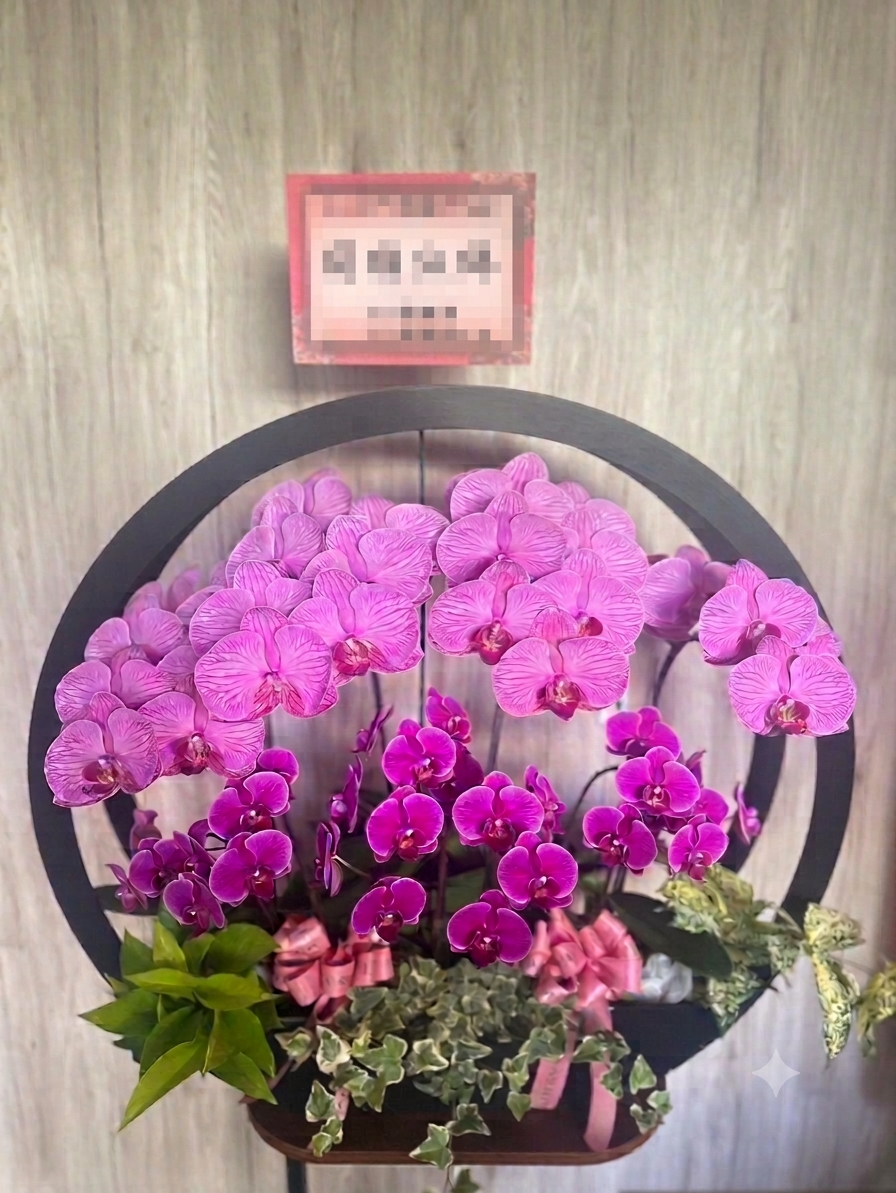 台南蘭花盆栽作品