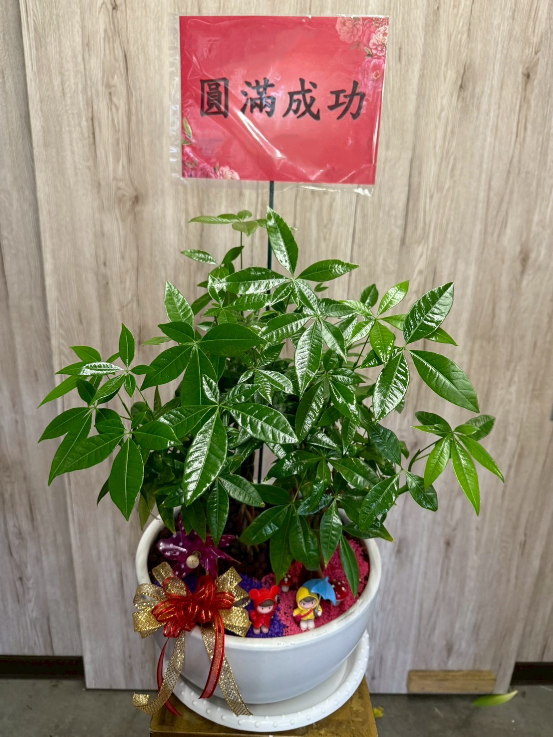 台南植栽作品