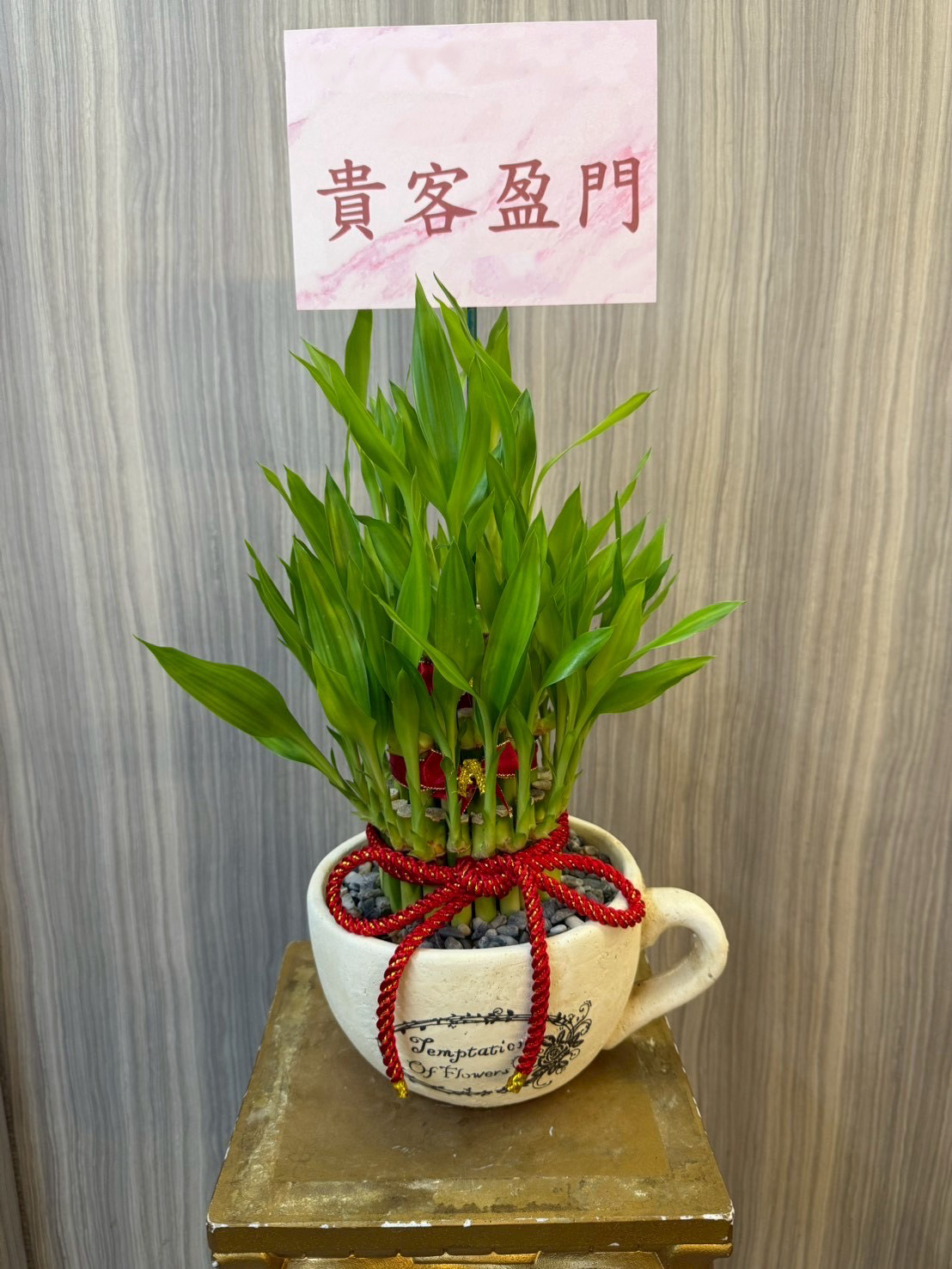 台南植栽作品