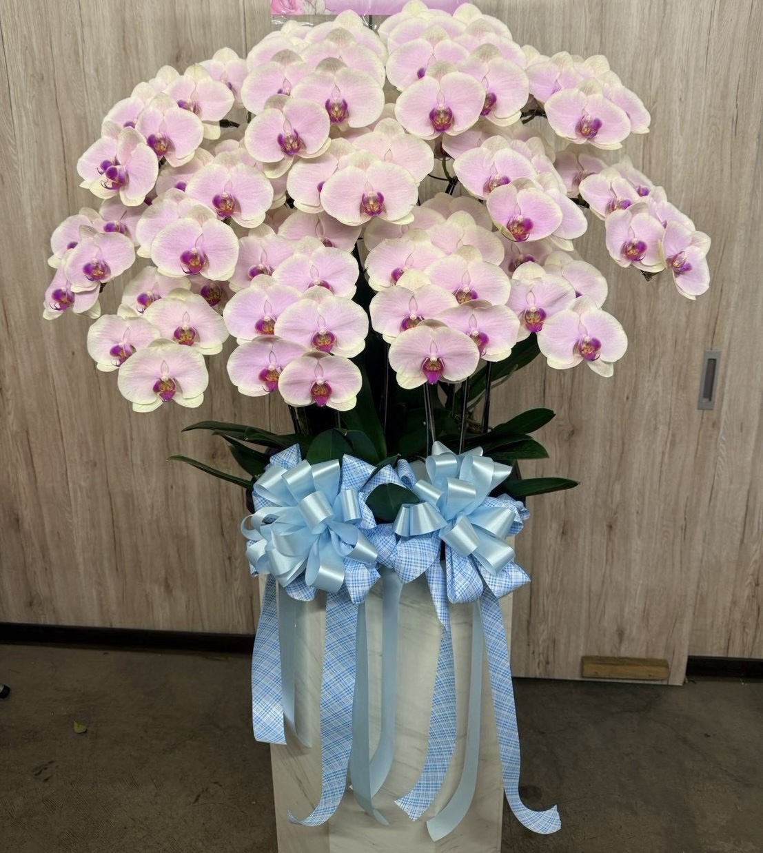 台南蘭花作品1