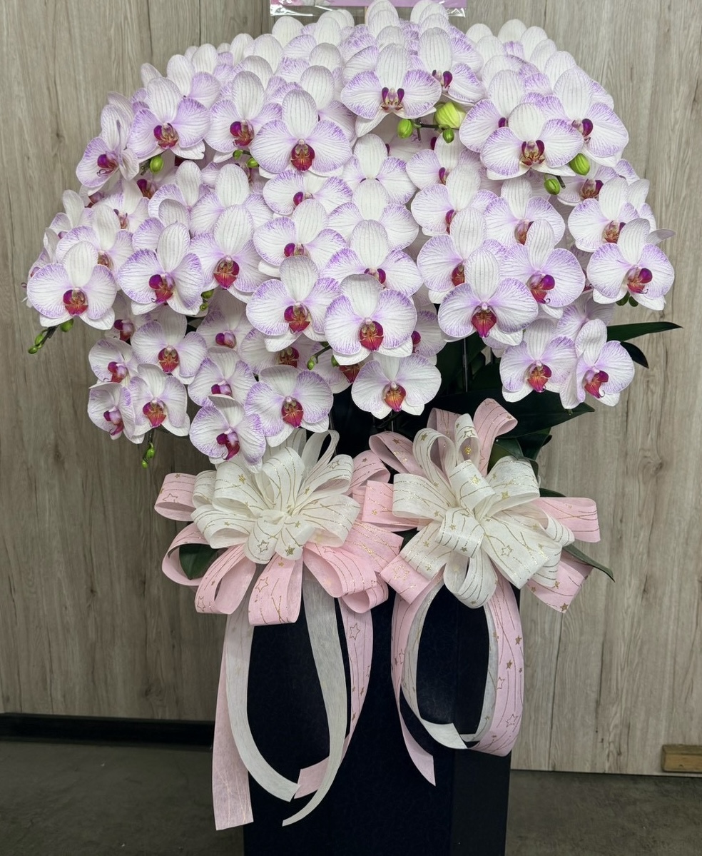 台南蘭花作品2