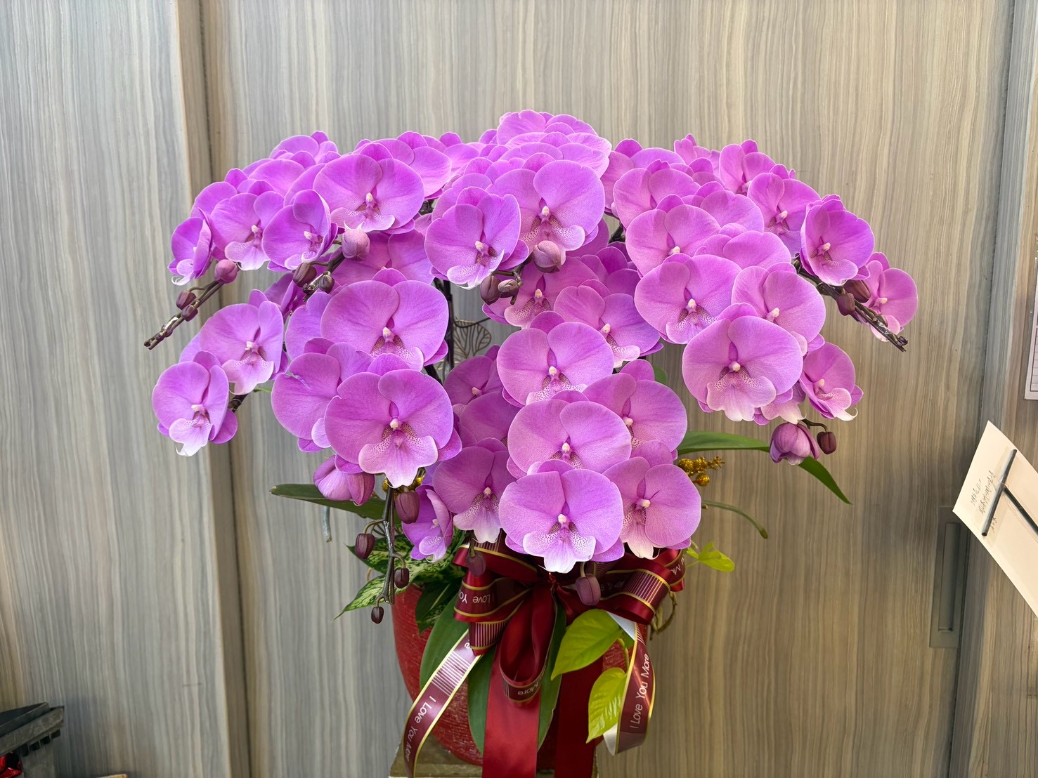 台南蘭花作品3