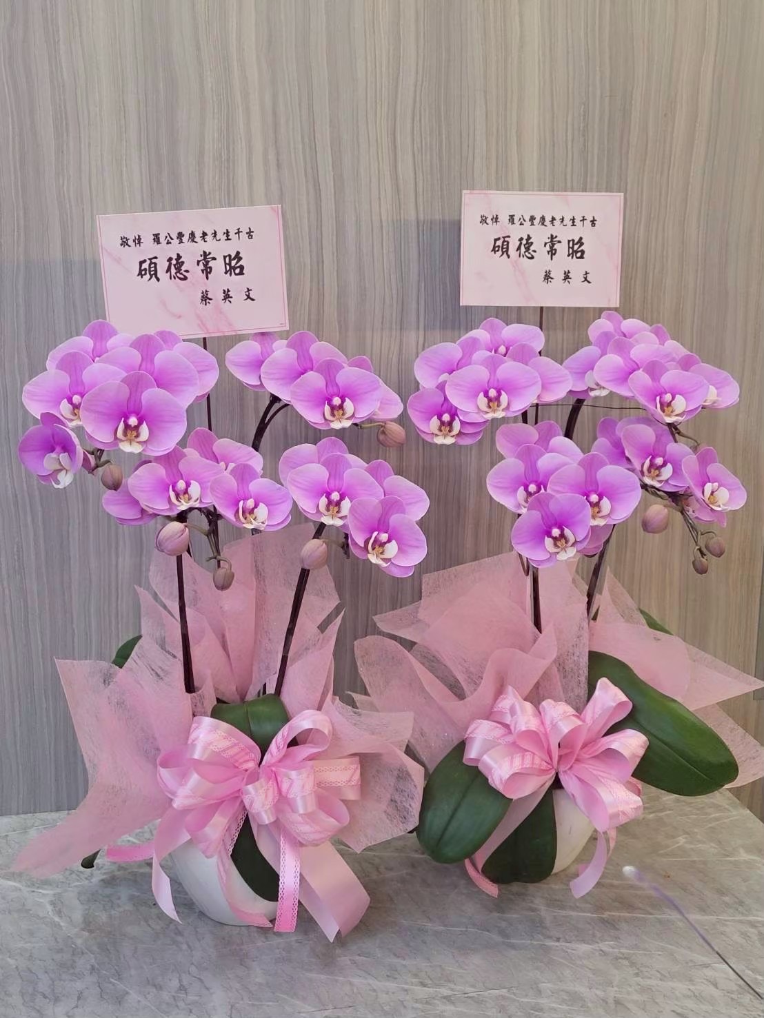 台南蘭花作品4