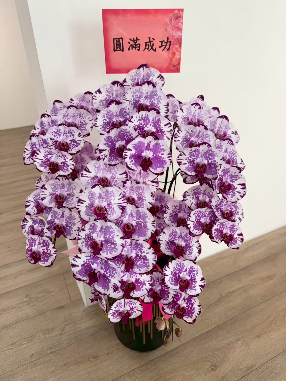 台南蘭花作品5