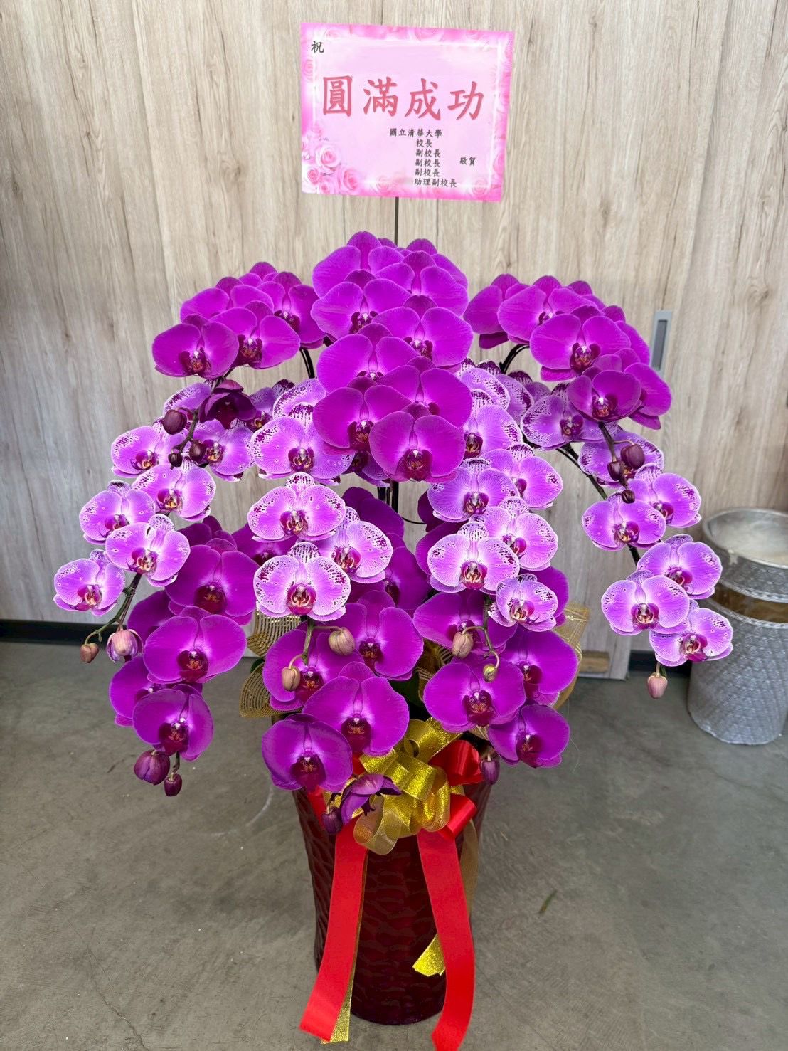 台南蘭花作品6