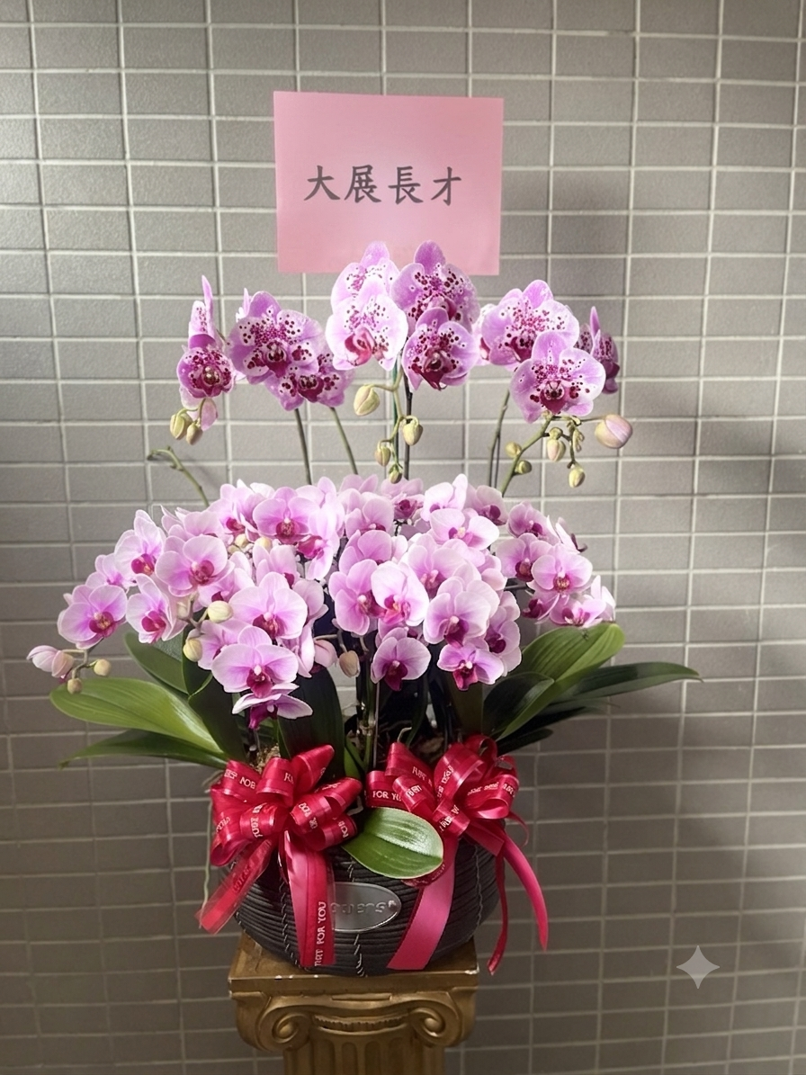 台南蘭花作品8