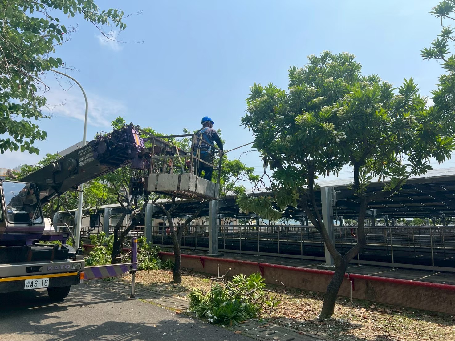 台南植栽養護工程作品2