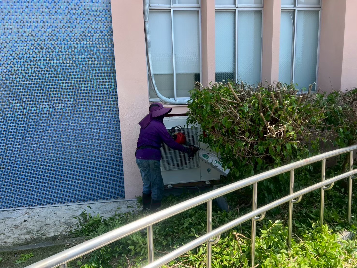 台南植栽養護工程作品4